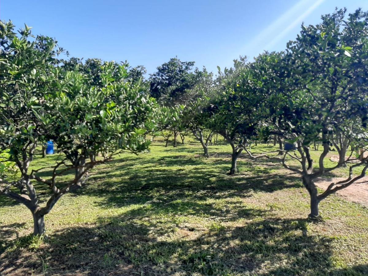 Casa Di Pecora - Pousada Rural Lauro Muller Dış mekan fotoğraf