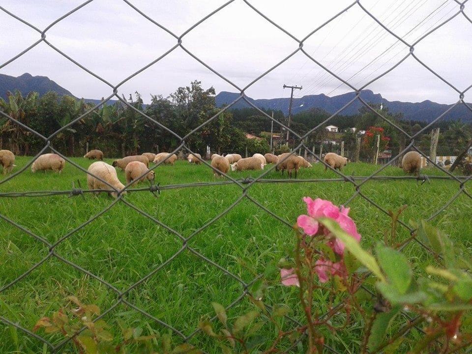 Casa Di Pecora - Pousada Rural Lauro Muller Dış mekan fotoğraf
