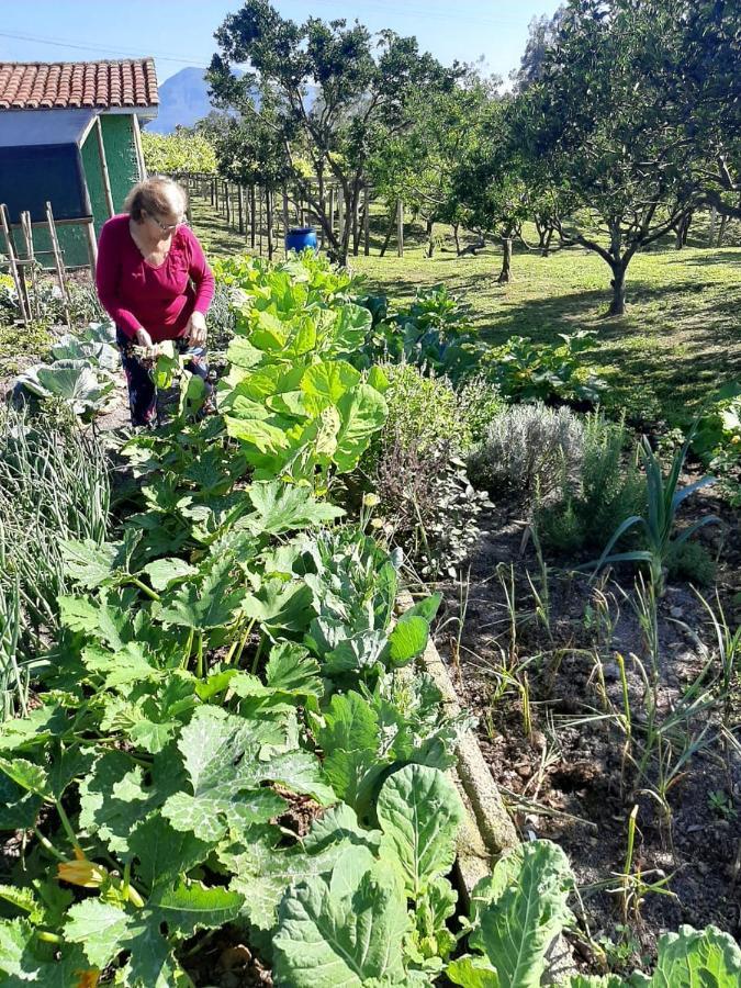 Casa Di Pecora - Pousada Rural Lauro Muller Dış mekan fotoğraf